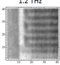 Terahertz scan of the printed sample at 1.2 THz